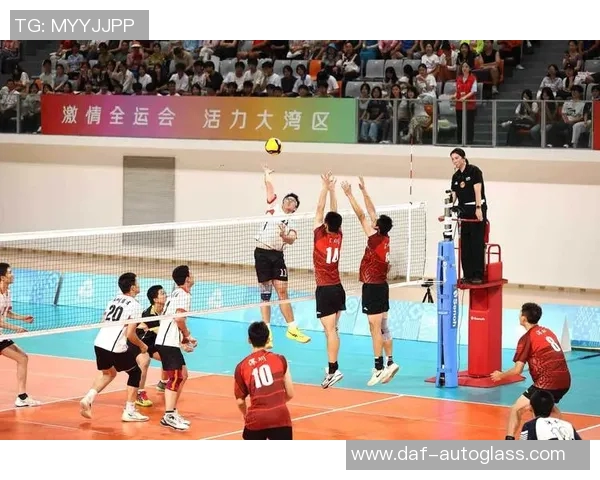 北京排球队盯防战术解析：排球深度探讨与实践经验分享